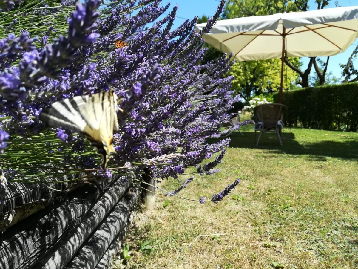 Sotto La Luna Bruna B&B Cocconato Eksteriør bilde