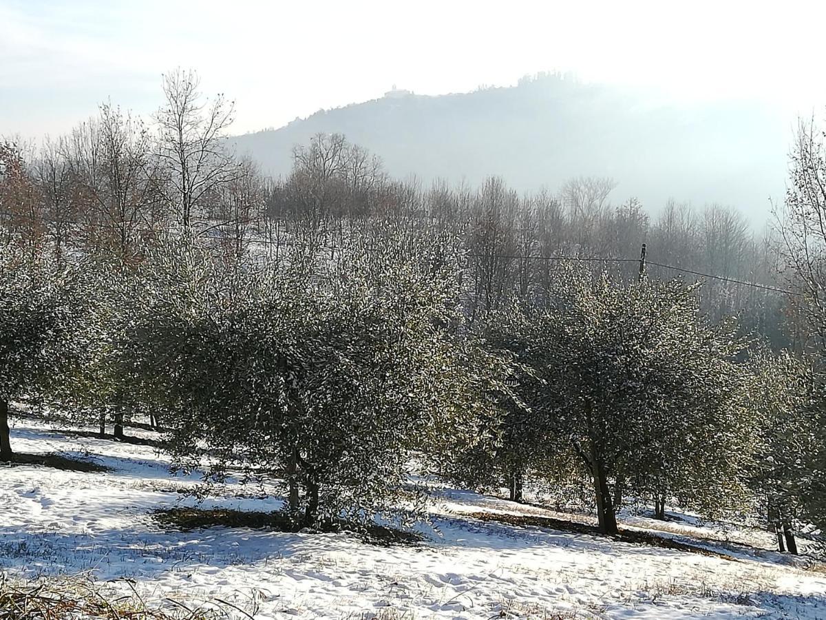 Sotto La Luna Bruna B&B Cocconato Eksteriør bilde