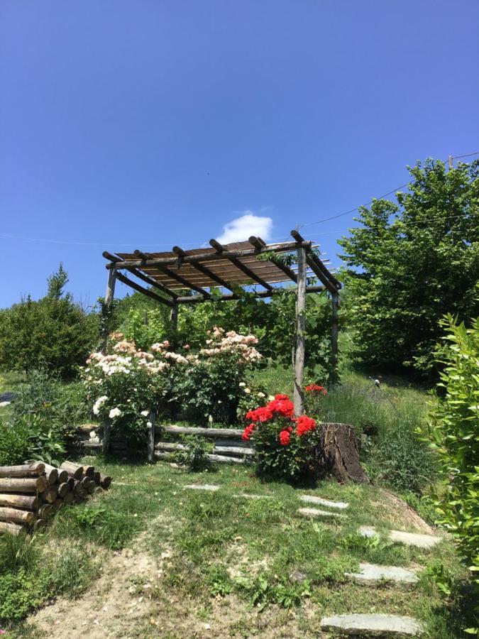 Sotto La Luna Bruna B&B Cocconato Eksteriør bilde