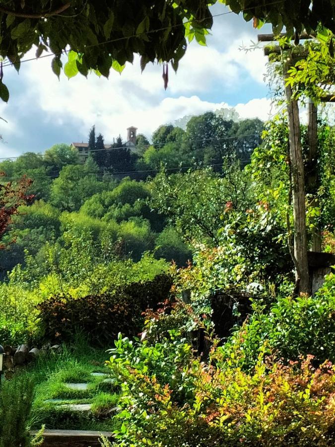 Sotto La Luna Bruna B&B Cocconato Eksteriør bilde