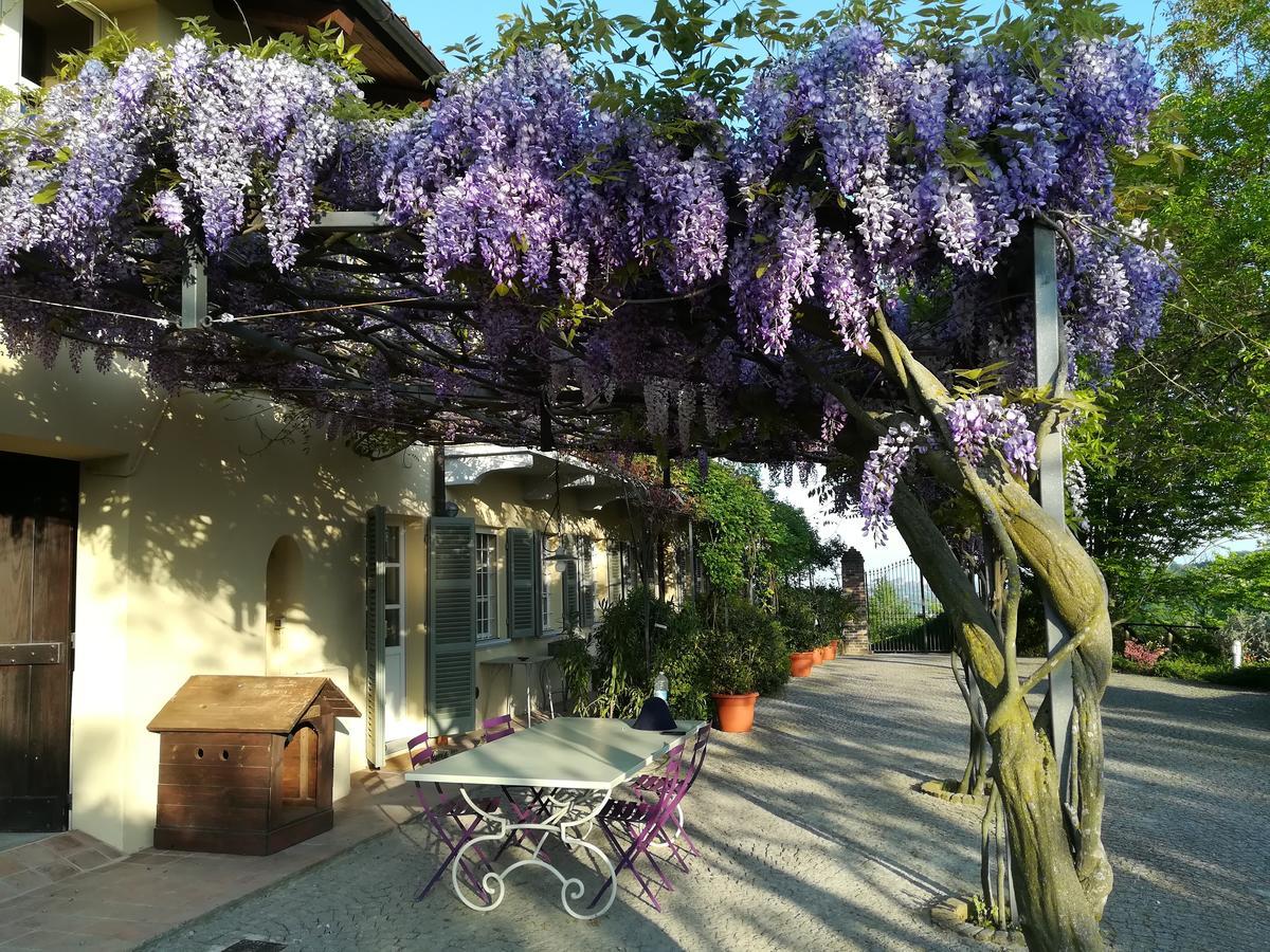 Sotto La Luna Bruna B&B Cocconato Eksteriør bilde