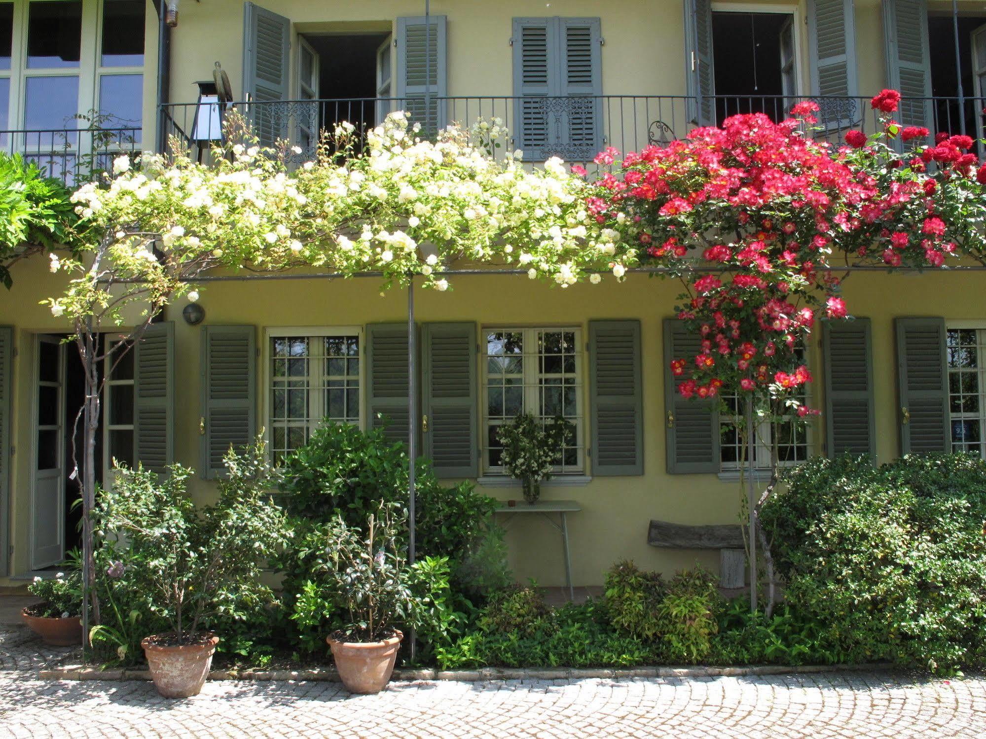 Sotto La Luna Bruna B&B Cocconato Eksteriør bilde
