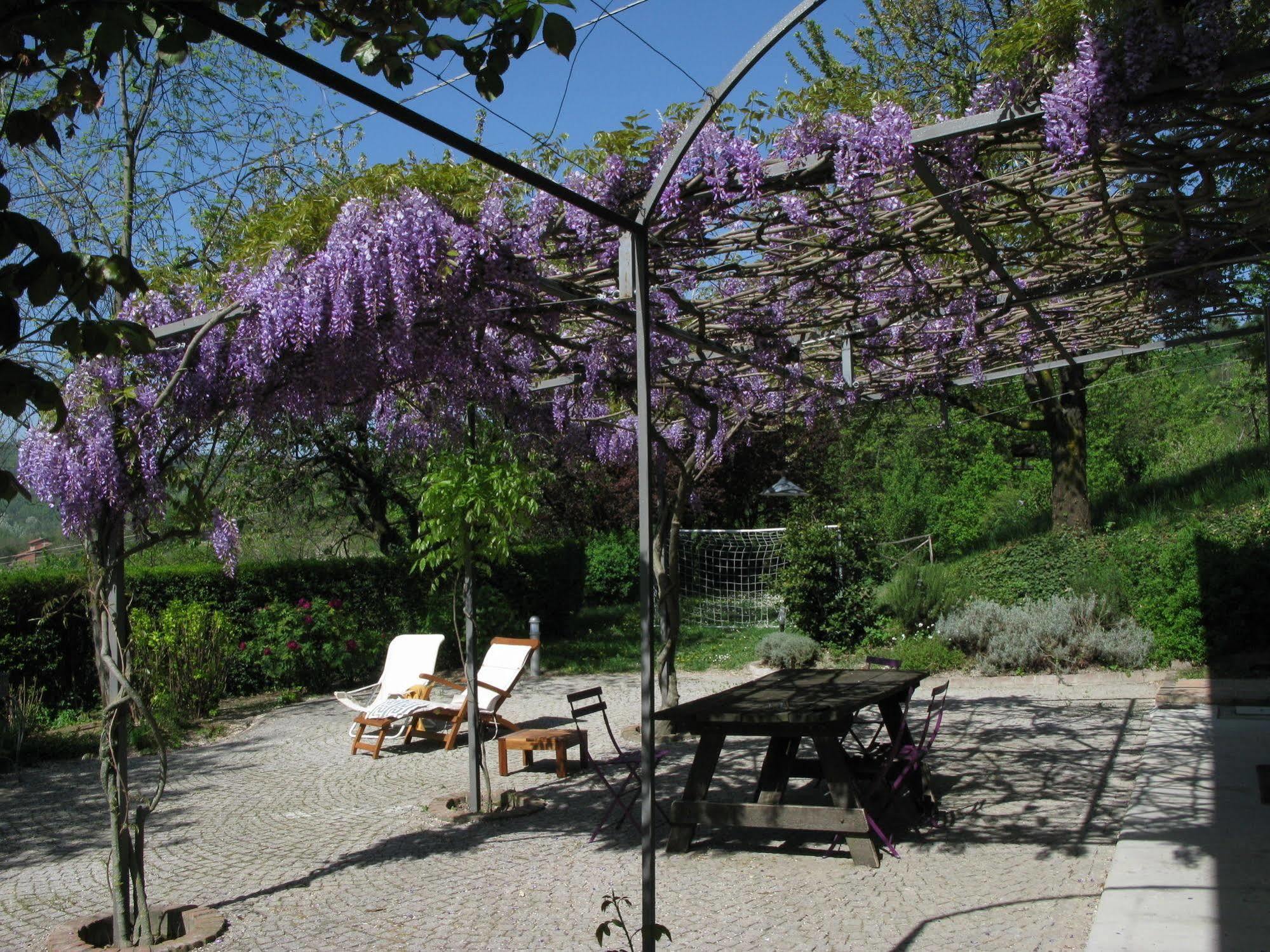 Sotto La Luna Bruna B&B Cocconato Eksteriør bilde