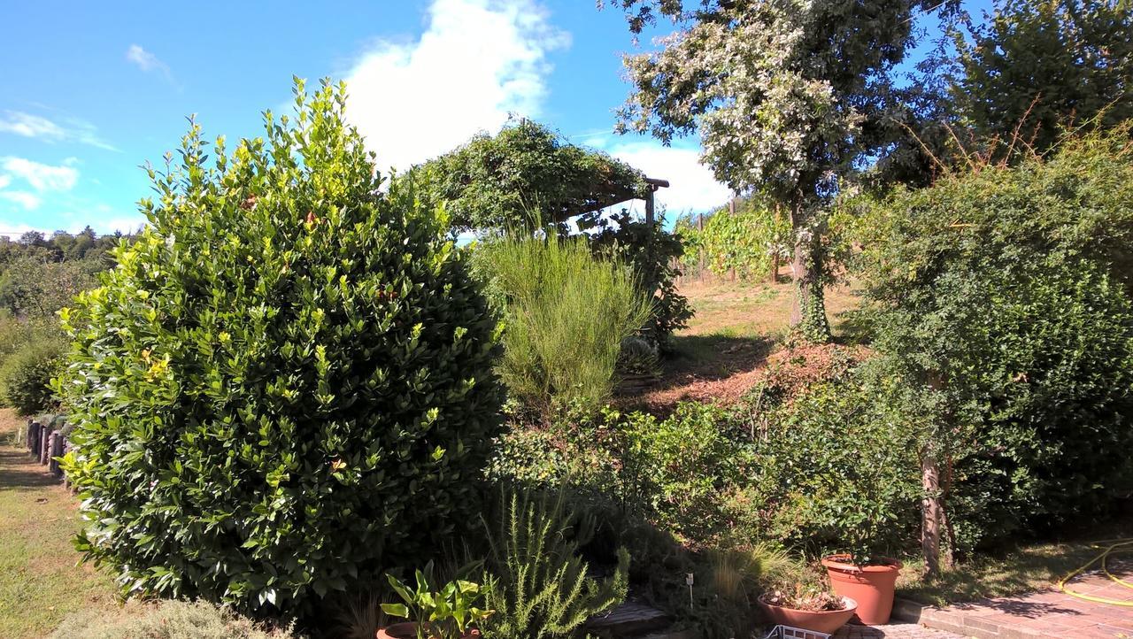 Sotto La Luna Bruna B&B Cocconato Eksteriør bilde
