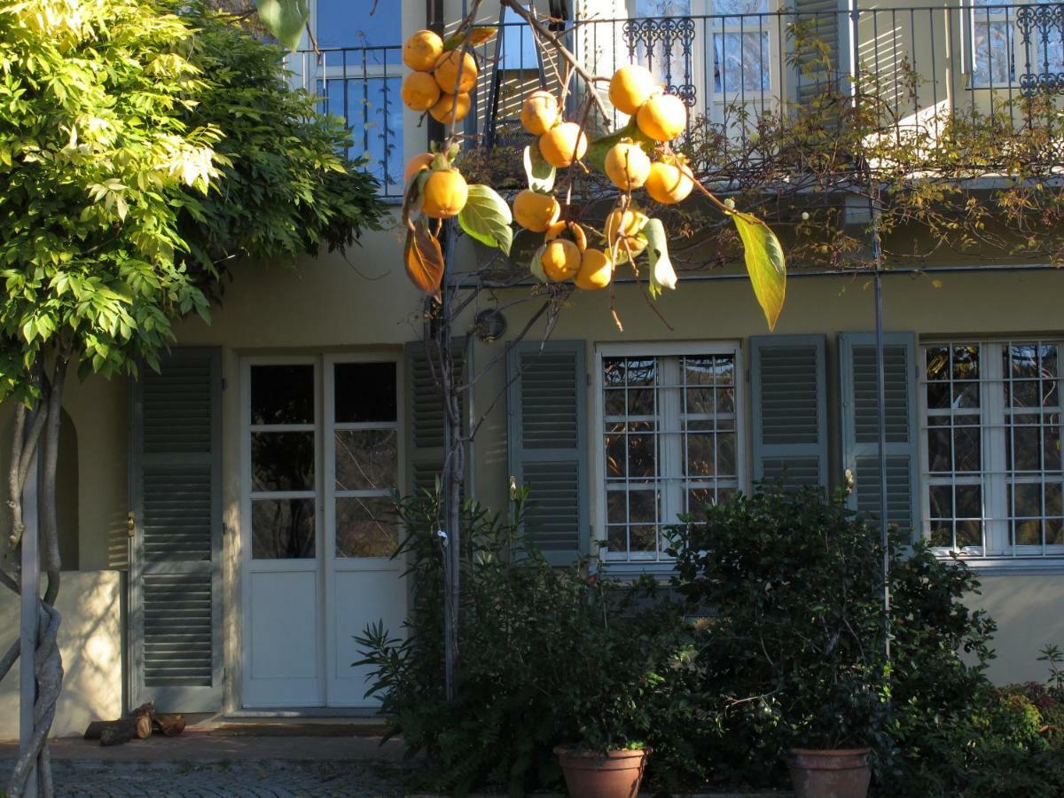 Sotto La Luna Bruna B&B Cocconato Eksteriør bilde