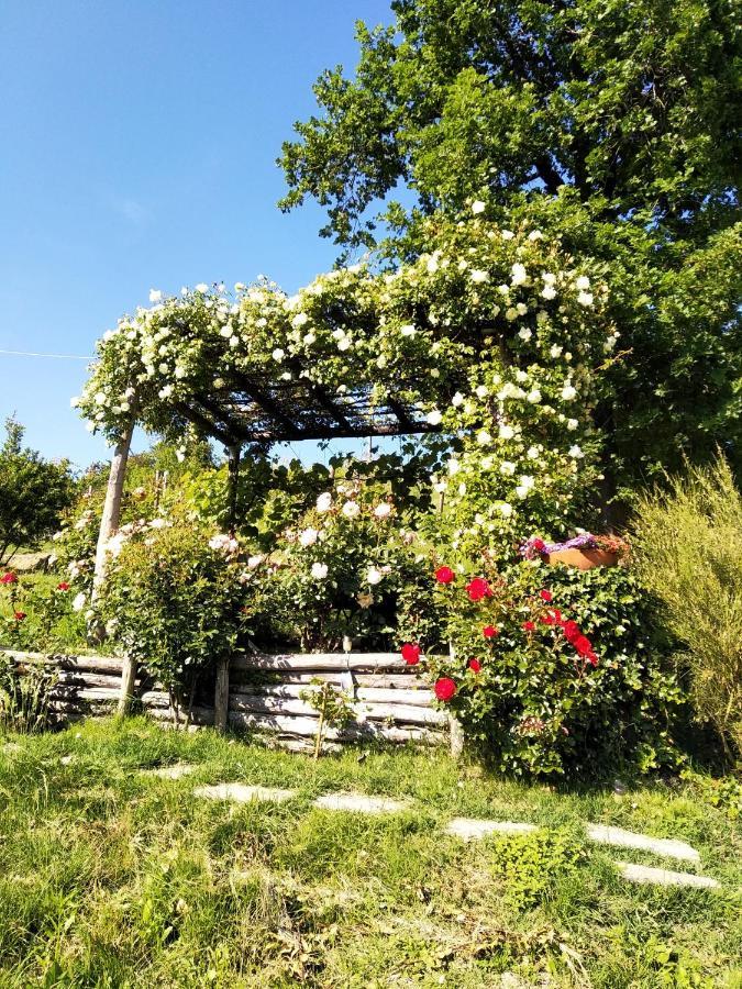 Sotto La Luna Bruna B&B Cocconato Eksteriør bilde